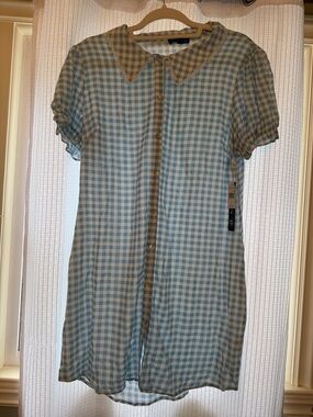 Ladie Blue Gingham Button-Front Dress with Peter Pan Collar